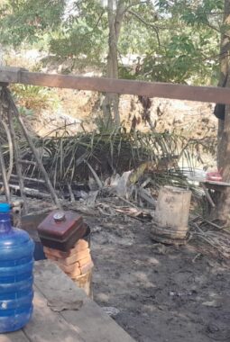 berita-rekomendasi-foto