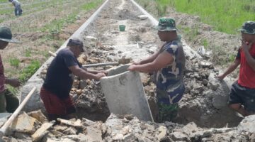 TMMD 128 Kodim 0203/Langkat Bangun Gorong-Gorong Desa Pasar Rawa, Progres Capai 90 Persen